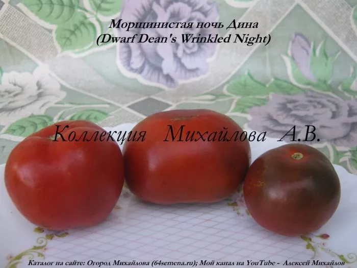 gnom-morschinistaya-noch-dina-7-167039