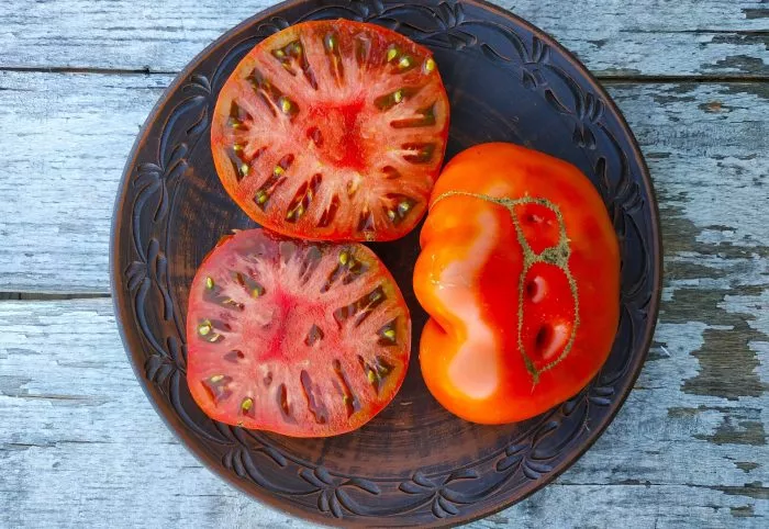 gnom-rozella-krimson-1-159129