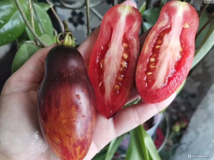 gnom-rozovaya-pantera-3-143282