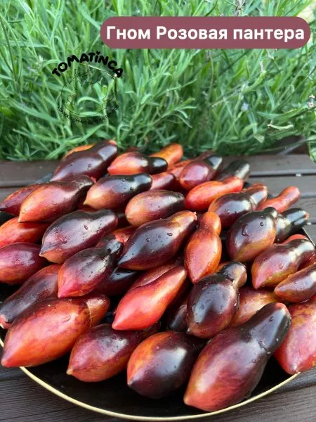 gnom-rozovaya-pantera-5-143282