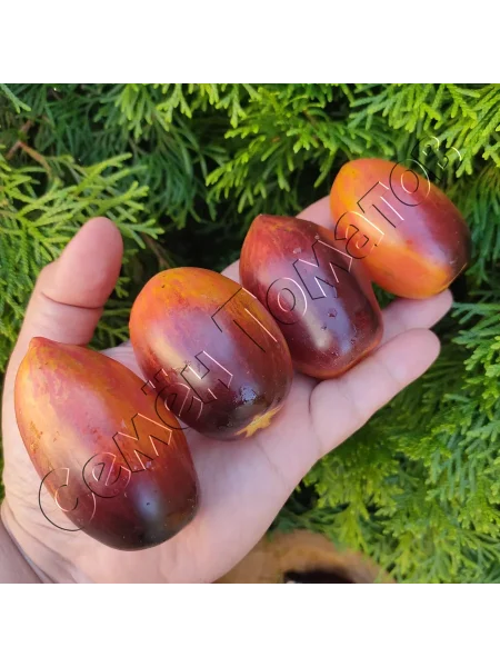 gnom-rozovaya-pantera-6-143282