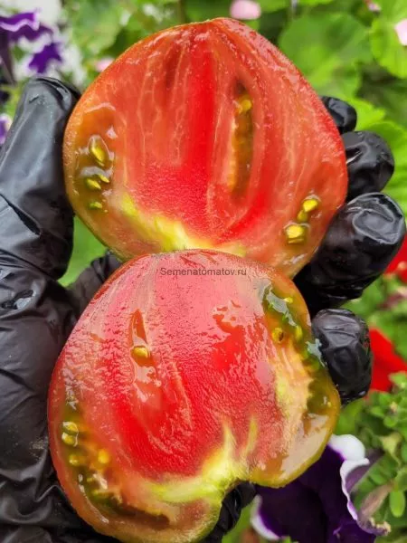 gnom-shokoladnyy-serdtseed-3-161650