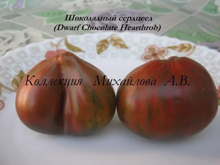 gnom-shokoladnyy-serdtseed-5-161650