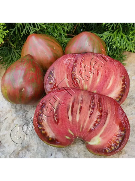 gnom-shokoladnyy-serdtseed-8-161650