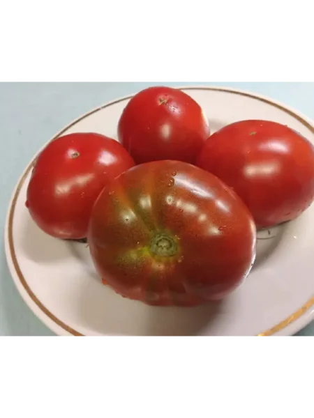 gnom-spyaschaya-ledi-2-148526