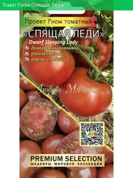 gnom-spyaschaya-ledi-5-148526