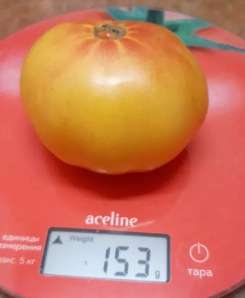 gnom-zavitok-udachi-4-163943