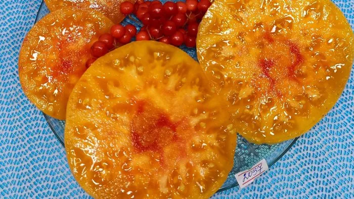 gnom-zavitok-udachi-5-163943