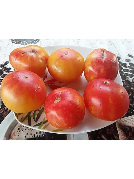 gnom-zavitok-udachi-8-163943