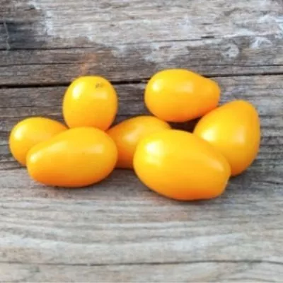 golubinoe-serdtse-3-137286