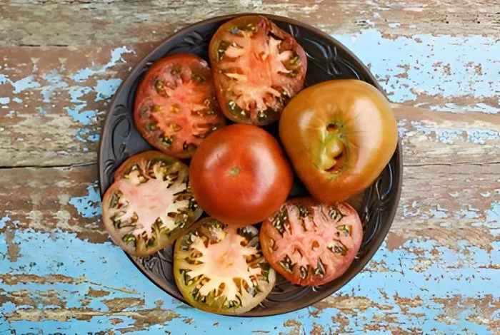 gordost-pirsa-6-158931