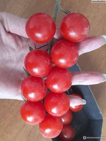 goryachee-serdtse-1-163724