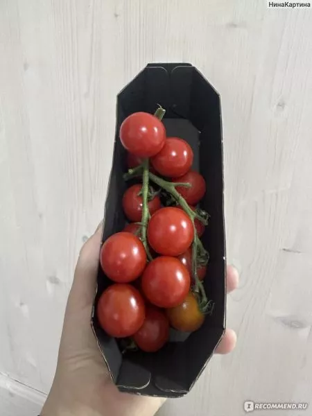 goryachee-serdtse-6-163724