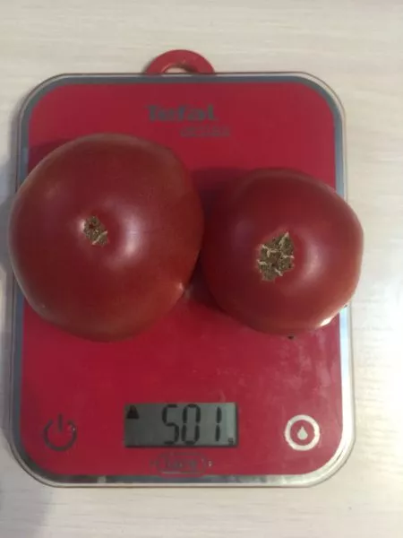 gospozha-udacha-2-159272