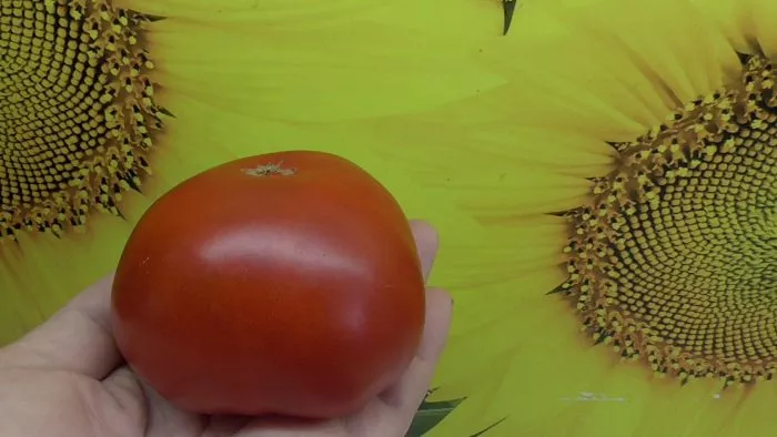 gospozha-udacha-3-159272