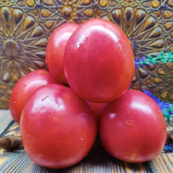 gospozha-udacha-6-159272