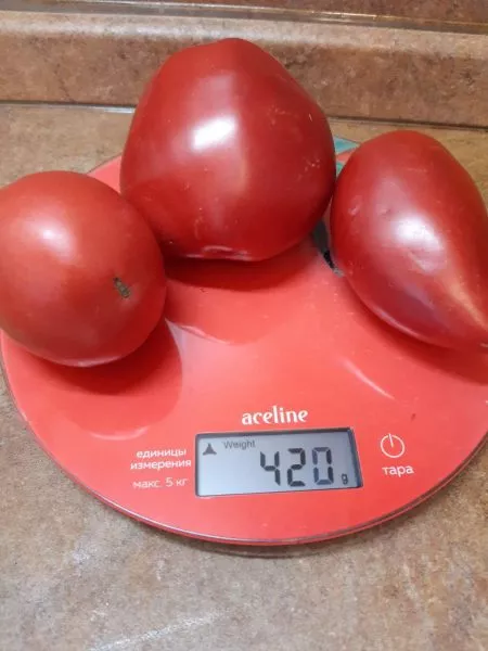 gospozha-udacha-8-159272