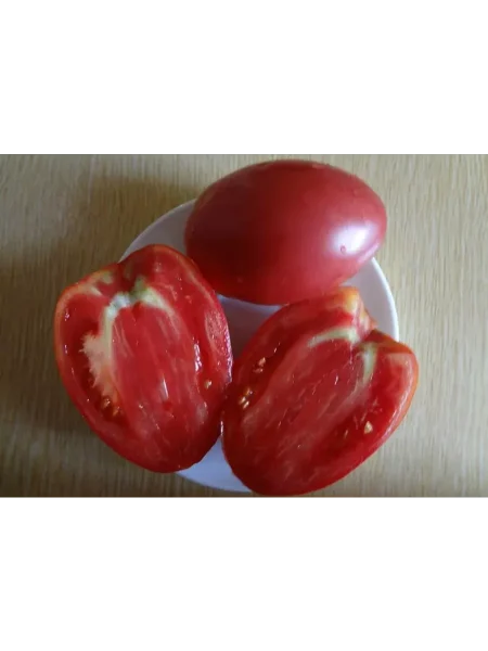 grazhdanskaya-voyna-kima-2-163949