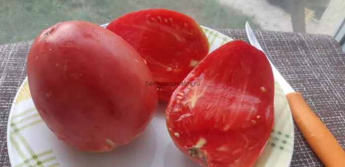 grazhdanskaya-voyna-kima-4-163949