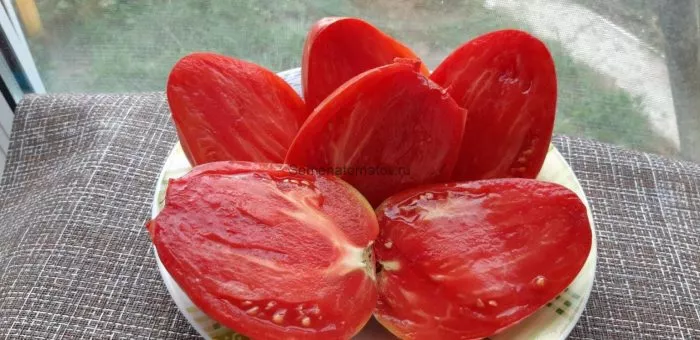 grazhdanskaya-voyna-kima-6-163949