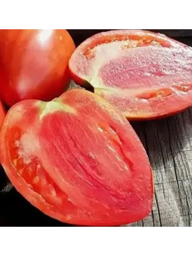 grebeshki-krasnye-4-131767