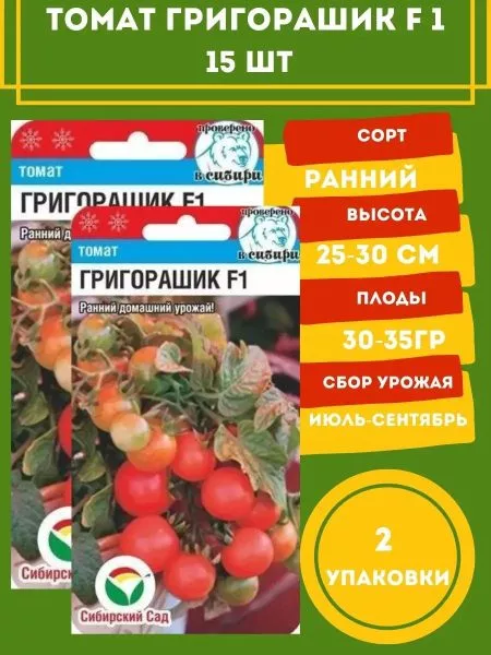 grigorashik-7-158927