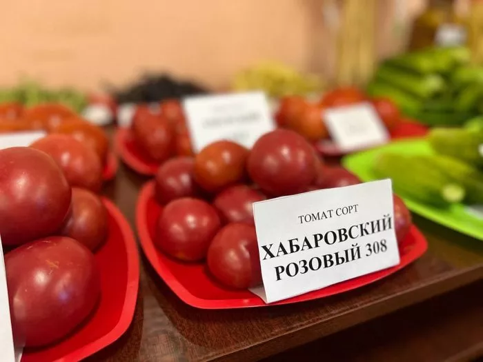 habarovskiy-rozovyy-3-164947