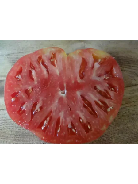 helen-nemetskiy-3-158957