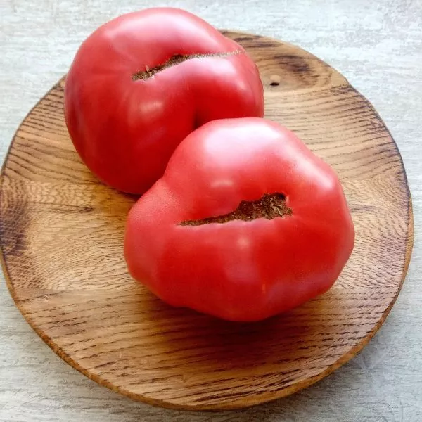 helen-nemetskiy-5-158957