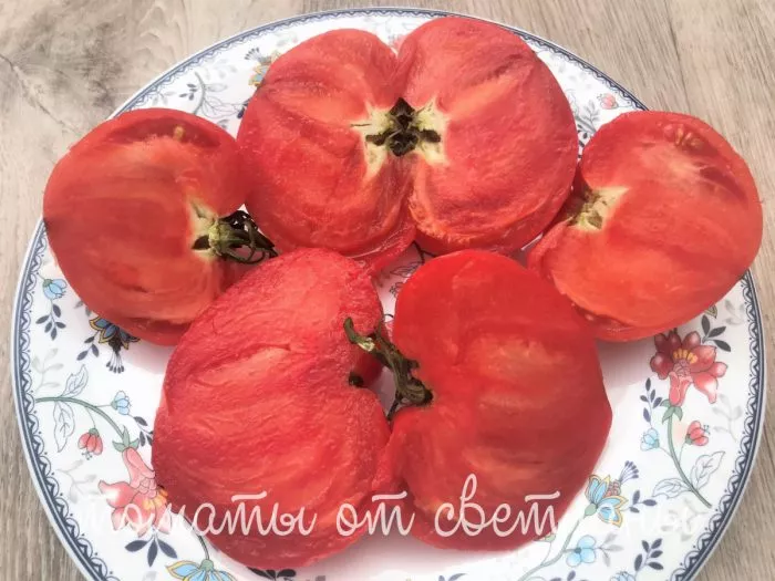 helen-nemetskiy-7-158957