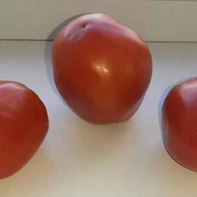 hikonovskiy-3-148145