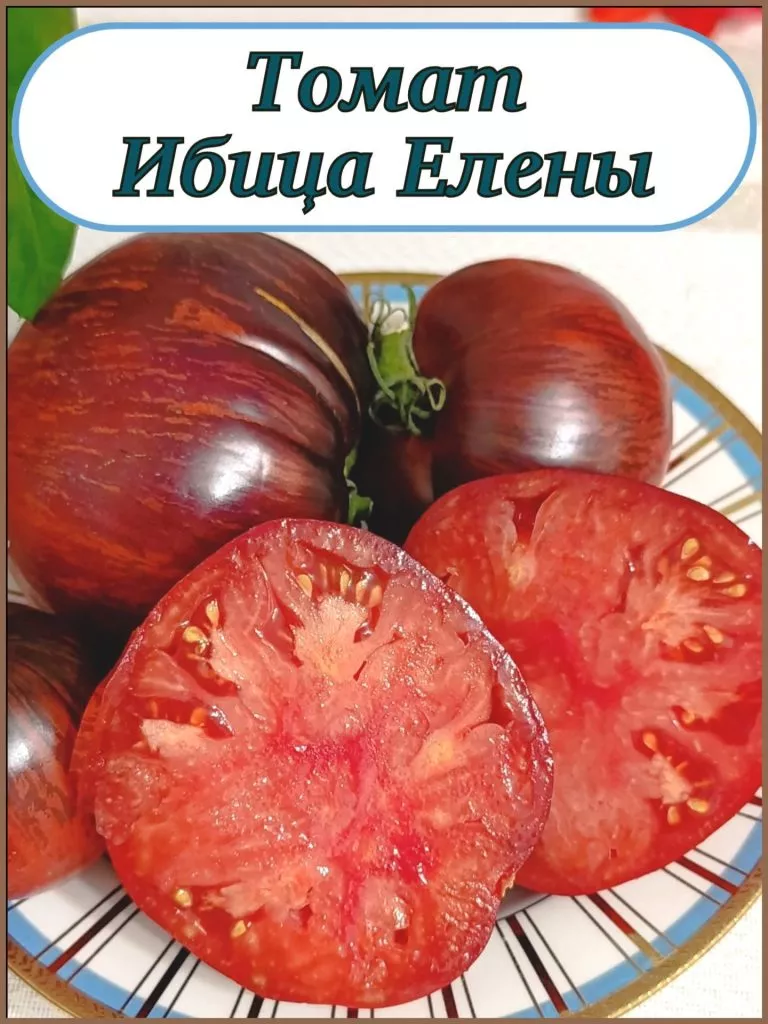 ibitsa-eleny-2-133449