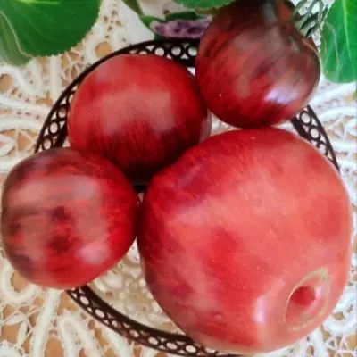 ibitsa-eleny-5-133449