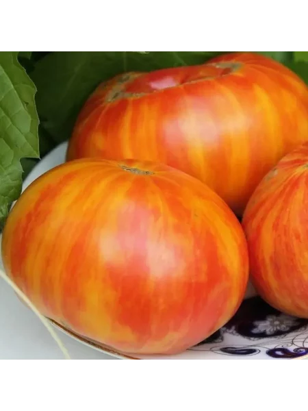 indeyskaya-rezervatsiya-1-150168