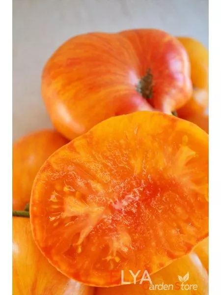 indeyskaya-rezervatsiya-3-150168