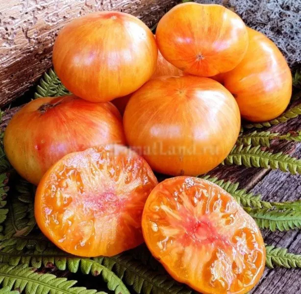 indeyskaya-rezervatsiya-4-150168