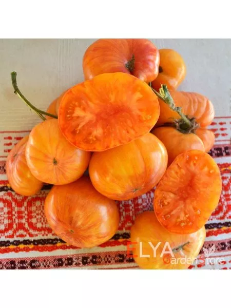 indeyskaya-rezervatsiya-6-150168