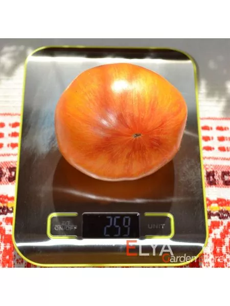 indeyskaya-rezervatsiya-8-150168