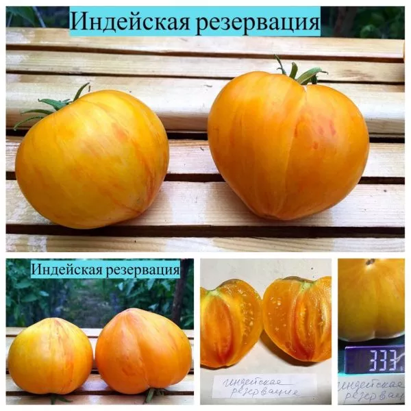 indeyskaya-rezervatsiya-9-150168