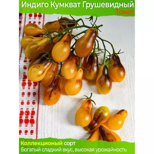 indigo-kumkvat-10-166946