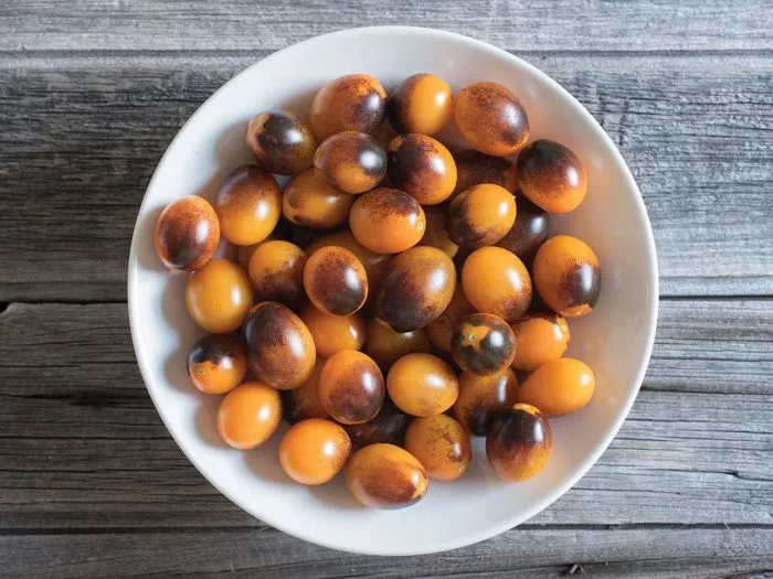 indigo-kumkvat-8-166946