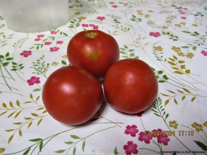 inzel-perle-2-135081