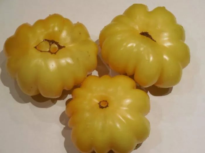 inzhir-zheltyy-5-148244