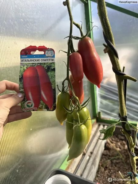 italyanskie-spagetti-5-139589