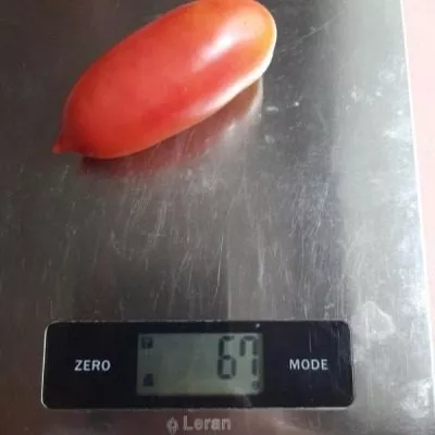 italyanskie-spagetti-7-139589