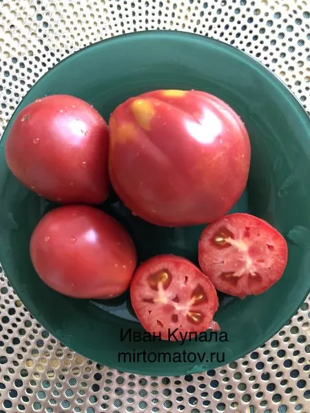 ivan-kupala-3-150563