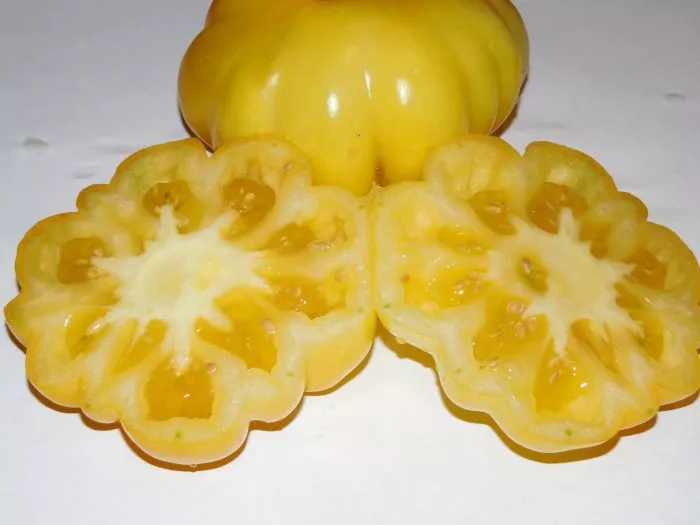 izmaylovskiy-rebristyy-1-139062