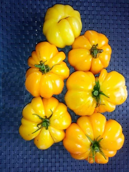 izmaylovskiy-rebristyy-2-139062-1