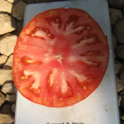 kanadskiy-velikan-5-148790