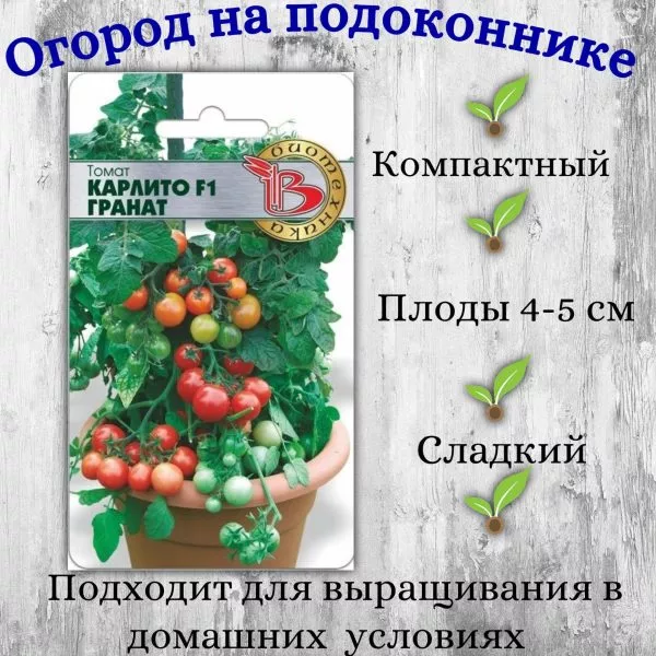 karlito-f1-granat-2-168347